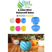 Plant Home Power Mix Dekoratif Mini Kaktüs Saksı Modelleri - 6 Adet Farklı Renkli Kaktüs Saksısı