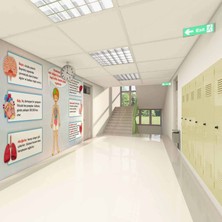 Iç Organlarımız Okul Duvar Kağıdı Baskı