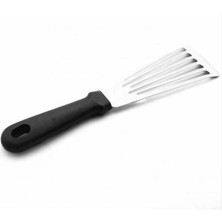 Spatula Balık (Spb-18)