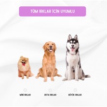 Proud Wave Sesli Köpek Oyuncağı Köpek Şişe Oyuncak Hışırdayan Köpek Eğitim Oyuncağı Peluş Isırma Oyuncağı