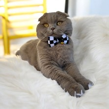 Dama Desen Kedi ve Küçük Irk Köpek Tasması