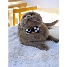 Dama Desen Kedi ve Küçük Irk Köpek Tasması