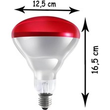 Ledvance 250W Infrared Kırmızı Ampul E27 Isıtıcılı Lamba Kırmızı Işık