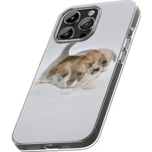 iPhone 14 Kılıf 3D Hareketli Özel Tasarım Hd Baskılı Telefon Kılıfı - Köpek