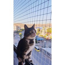 Kedi Filesi, hayvan koruma filesi (2metre*5metre)