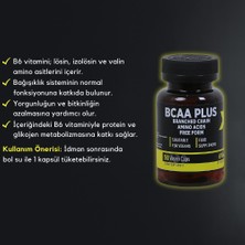 Zeus Nutrition Bcaa Plus 50 Kapsül