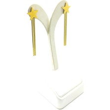 Kadın Sallantı Çelik Küpe