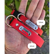 Ayarlanabilir Yavru, Mini ve Orta Irk Köpek Tasması, Köpek Tasma ve Künyesi, Sağlam Köpek Tasması 1,5cm