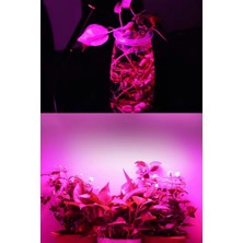 Demir Led Grow LED 72 Ledli 12V 5630 Full Spectrum Bitki Yetiştirme Ledi