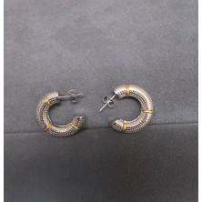 Jern Jewelry Silver Renk Geçişli Halka Çelik Küpe