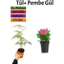 2'li Bahçe Seti Tül( Kuş Konmaz)+ Pembe Gül Fidanı (15-25 cm)  Dış Mekan Bitkisi