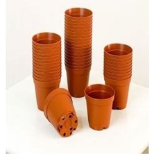 Katı Plastik Sukulent Saksısı 10 Adet Kahverengi (5.5 cm)