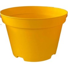 Katı Plastik Sukulent Saksısı 5 Adet Sarı (8.5 cm)