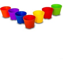 Katı Plastik Sukulent Saksısı 10 Adet Açık Mor  (5.5 cm)