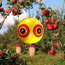 Bird-X Kuş Kovucu Balon 3 Lü Paket (Scare-Eye)