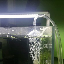 5m Tarzı 5m Balık Tankı Oksijen Pompası Oksijen Hortumu Silikon Hortum 4*6mm Akvaryum Hava Pompası Hortumu (Yurt Dışından)