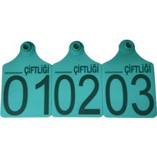 Baltaş 300 Adet Turkuaz Xl Büyükboy Hayvan Küpesi Pens Ucu