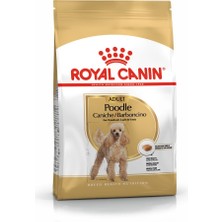 Royal Canin Poodle Adult 3 kg – Yetişkin Köpekler İçin Özel Mama