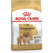 Royal Canın Bhn Pomeranın 1,5K