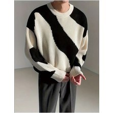 Tarz Cool Erkek Siyah-Beyaz Regular Fit Triko Kazak