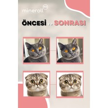 Mineroll Pets Kedi Göz Temizleme Mendili 5'li Paket 100 Adet