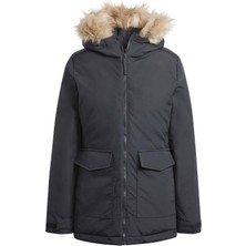 adidas W PAVERIC PAR Kadın   Mont IX8883