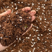 Fidan Sepetim Özel Karışımlı Toprak 80 Litre (Torf&cocopeat&perlit) Ph 5,5-6,5