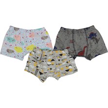 Poli Kids Desenli Erkek Boxer (3 Adet)