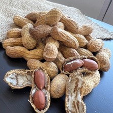 Sağlık Kuruyemiş - Kabuklu Tuzlu Fıstık