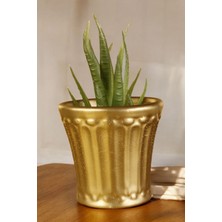Dekoratif Saksı Minik Kaktüs Saksısı Gümüş Eskitme Renk Model 40
