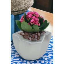 El Yapımı Saksı Siyah Premium Kalite Dekoratif Saksı Pantolonlu