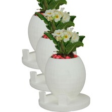 El Yapımı Saksı Seti Gümüş Eskitme Premium Kalite 3 Adet Dekoratif Saksı Model 1