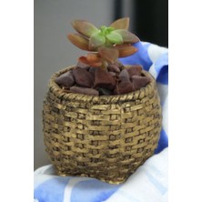 El Yapımı Saksı Beyaz Dekoratif Saksı Küçük Boy Model 29