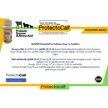 Bıosıper Serisi Protectocalf Probiyotik 250 ml (Koyun/kuzu/buzağı)