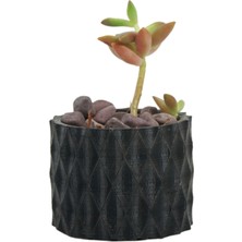 Mini Çiçek Saksı Küçük Sukulent Siyah Kaktüs Saksısı Baklava Çizgili Model