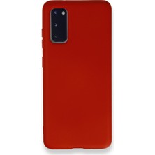 Zipax Samsung Galaxy S20 Kılıf Lansman Içi Kadife Şık Sade Görünüm Azn-Nno