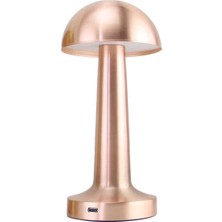Byrkrg  PT-700 USB Şarjlı Masa Lambası Byrnew