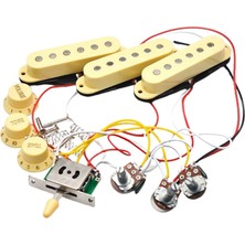 Chasoe St Elektro Gitar Enstrüman Dıy Için Köprü Pikap Elektro Gitar Manyetikler (Yurt Dışından)