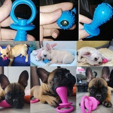 Küçük Köpek Evcil Hayvan Oyuncakları Kauçuk Çiğnenmeye Dayanıklı Köpek Oyuncakları Diş Temizleme Çiğneme Eğitim Oyuncakları (Yurt Dışından)