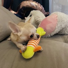 Sysdjon Evcil Köpek Gıcırtılı Çiğneme Önleyici Oyuncak Küçük Kedi Oyuncak Köpek Yavrusu Interaktif Çiğneme (Yurt Dışından)