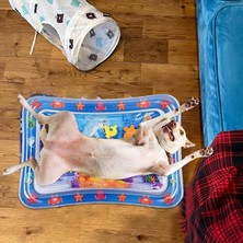 Kediler ve Köpekler Için Su Duyusal Oyun Matı Kalınlaştırılmış Şişme Su Mat Pet Oyun Matı, (Yurt Dışından)