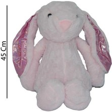 Halley 45 cm Ilk Arkadaşım Tavşan