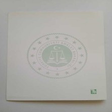 Turuncu Beyaz Hukuk Dava Dosyası (Yeşil ) 100'LÜ