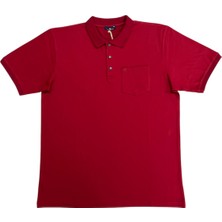 25 - 1252 Polo Yakalı Patlı Kısa Kol