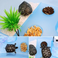 Huoxun Shop A 1 Adet Sürüngen Kaplumbağa Vivaryum Kutusu Kaplumbağa Akvaryum Tankı Güneşlenme Rampası ile Kaplumbağa Su Tankı 40*23*13CM (Yurt Dışından)