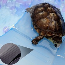 Huoxun Shop A 1 Adet Sürüngen Kaplumbağa Vivaryum Kutusu Kaplumbağa Akvaryum Tankı Güneşlenme Rampası ile Kaplumbağa Su Tankı 40*23*13CM (Yurt Dışından)