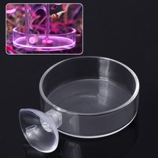 Huoxun Shop A Stili Temizle Tek Boyut Yeni Akvaryum Yüzük Varışı Balık Tankı Cam Kase Diz Halkası Berrak Tabak Taban Susturucu Emme Kupası (Yurt Dışından)