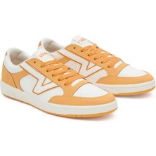 Vans Lowland cc