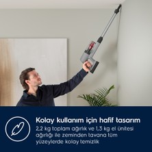 Electrolux EP71AB14UG Animal 700 Serisi Çok Hafif(2.2 Kg) ve Güçlü Dikey Şarjlı Süpürge- 10 Yıl Motor Garantili