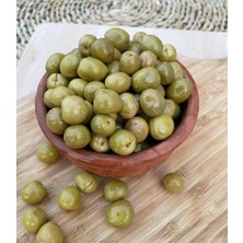Halhali Zeytin Ağacı Fidanı (Tüplü ve Aşılı)